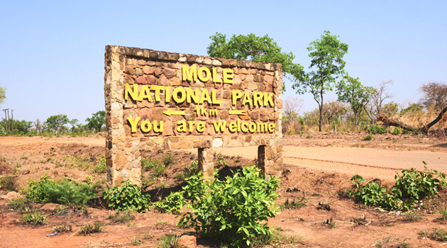 Arrival & Journey to Mole