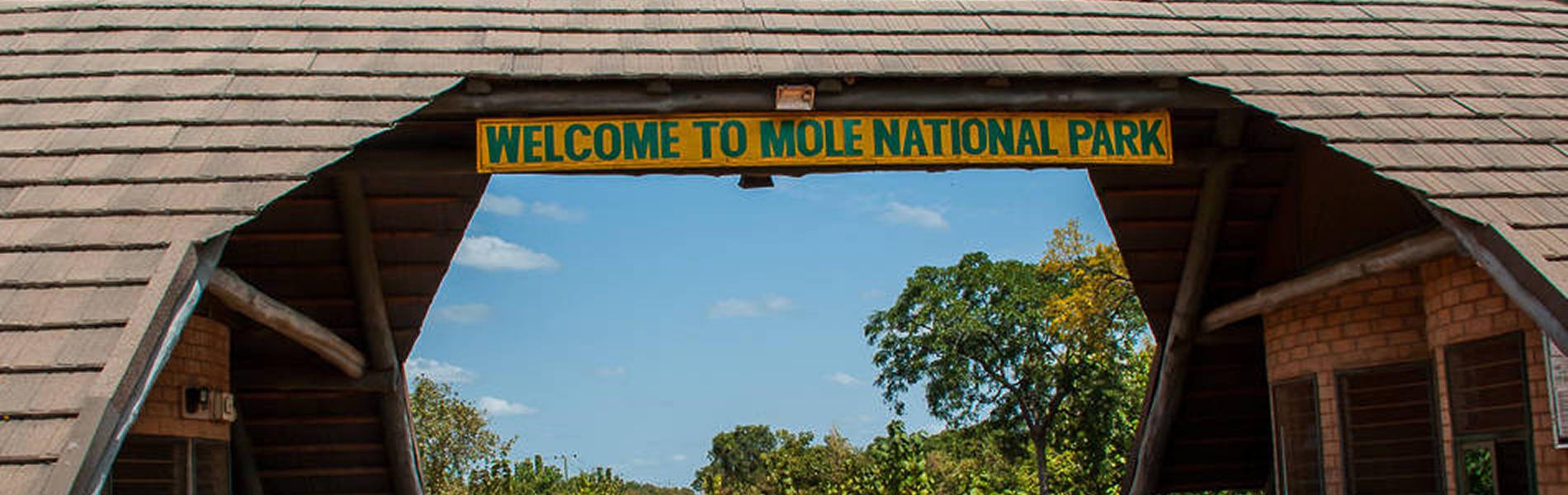 Visit the Mole National Park