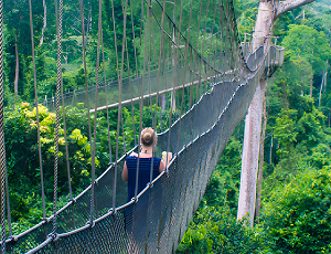 Visit the Kakum National Park