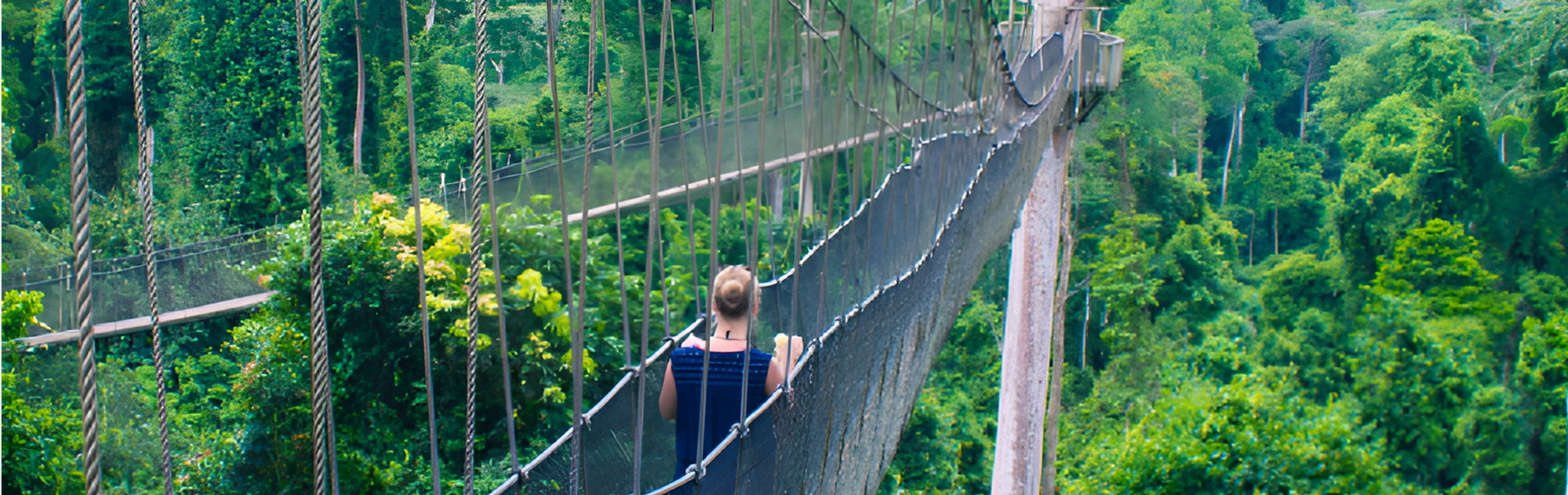 Visit the Kakum National Park